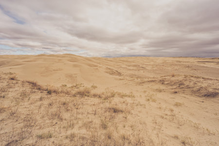 Sandy landscape of Great Sandhills Ecological Reserve, Saskatchewan, Canadaの写真素材