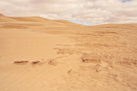Sandy formations of Great Sandhills Ecological Reserve, Saskatchewan, Canadaの写真素材