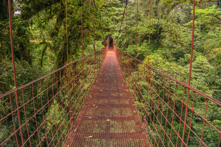 Landscape of red hanging bridge in the cloud forest, Costa Rica
