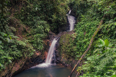 Waterfall landscape in the Monteverde cloud forest, Costa Ricaの写真素材