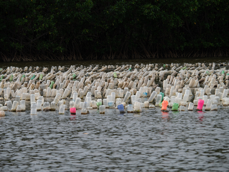 Oyster farm by hanging with plastic bottle, Kung Krabean Bay, Thailandの写真素材