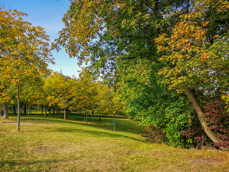 Garden in autumnの写真素材