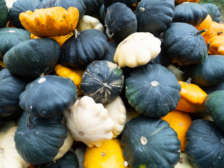 Patisson pumpkin in marketの写真素材