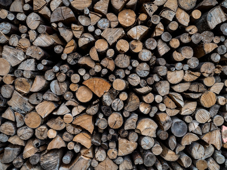 Wood logs texture backgroundの写真素材