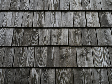 Wooden panel texture backgroundの写真素材