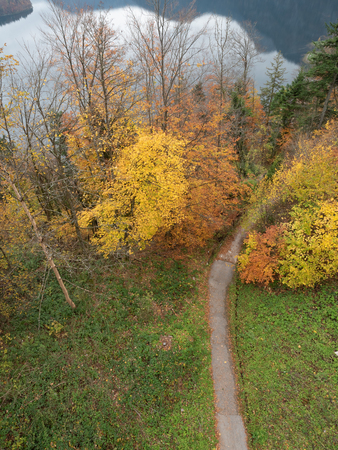 Garden in autumnの写真素材