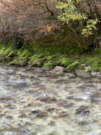 Stream water in autumnの写真素材