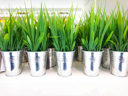 green grass in the metal bucket on the wooden tableの写真素材