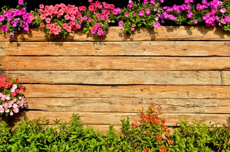 wooden fence background with red and pink flowerの写真素材