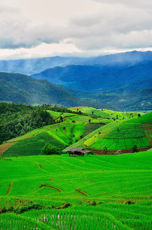 Fresh terrace rice field over the mountain range and beautiful sunsetの写真素材