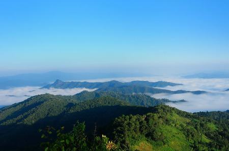 tropical rainforest,Khao Yai National Park Thailandの写真素材