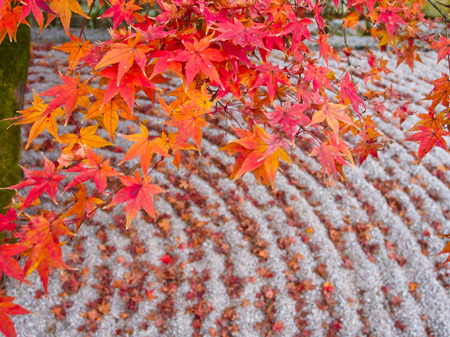 Japan in autumn
