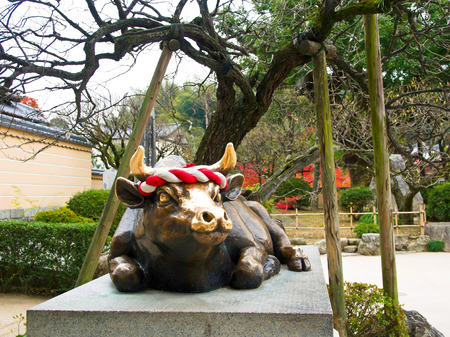 Japan in autumnの写真素材