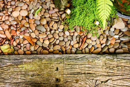 Little green tree and little rock  background, with place your text / copy space.