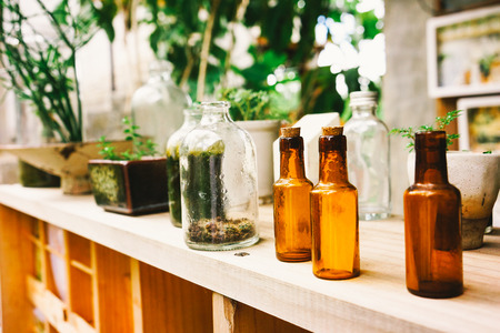 Small tree in woodshelf interior decorateの写真素材