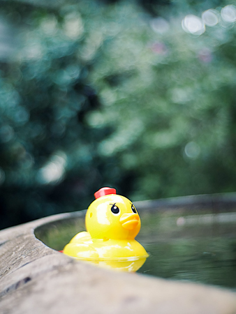 Bath toys in white foam bubblesの写真素材