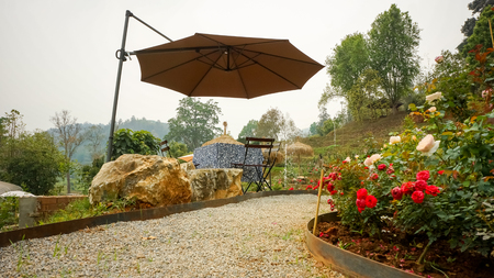 Garden and  flower garden with roses in Backyard Gardenの写真素材