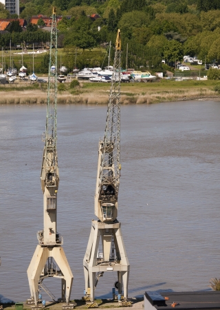 cranes in the harborの写真素材