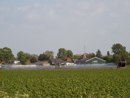 spray machine watered a potato fieldの写真素材