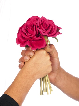 bunch of flowers with two hands on a white backgroundの写真素材