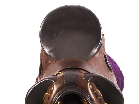 horse saddle with a white の写真素材