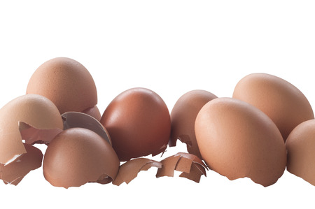 Rest of the egg shellの写真素材