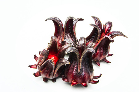 Hibiscus sabdariffa or roselle fruitsの写真素材