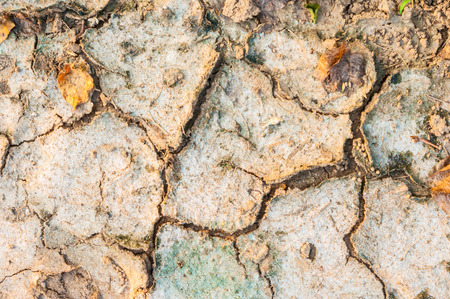 dry cracked soil-rough grunge backgroundの写真素材