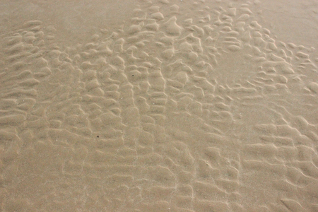 of sand pattern of a beach in the sumの写真素材