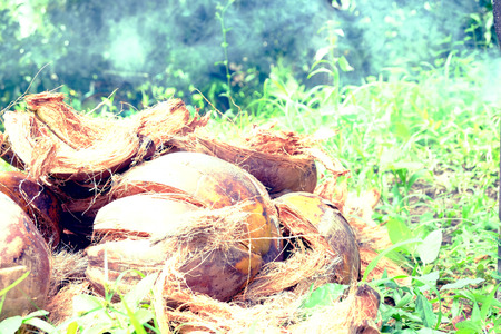  coconut huskの写真素材