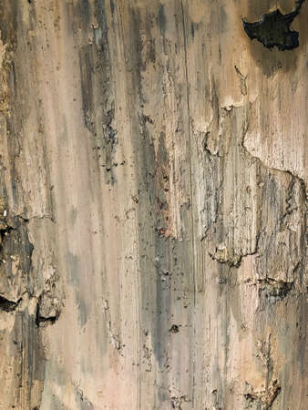 Excavation, The soil is earth tone.の写真素材