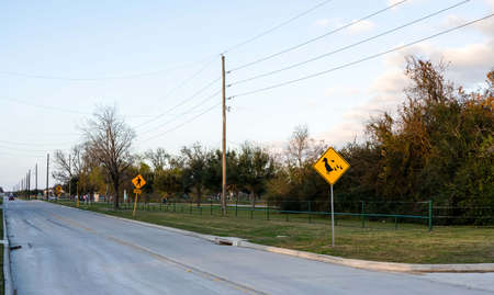 Duck zone warning sign shape of rhombus in back and yellow with duck family icon, transportation in the katy park , Texas ,USAの写真素材