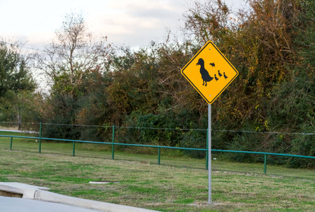 Duck zone warning sign shape of rhombus in back and yellow with duck family icon, transportation in the katy park , Texas ,USAの写真素材