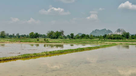 Landscape of farmland cloudy and blues with reflected in in the water.の写真素材