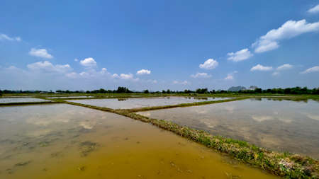 Landscape of farmland cloudy and blues with reflected in in the water.の写真素材