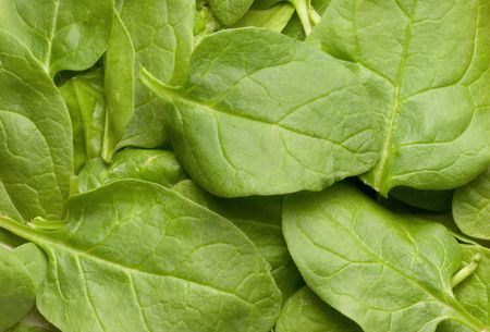 Spinich Leaves