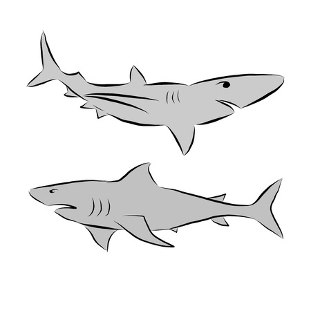 Sharks vector doodle illustration drawingのイラスト素材