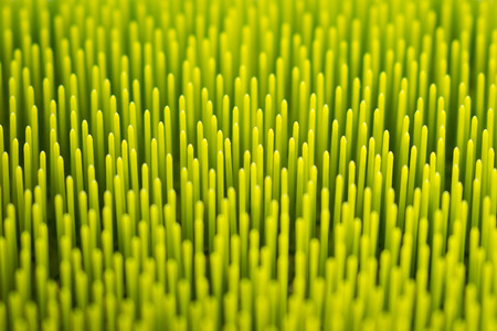 Macro abstract green background textureの写真素材