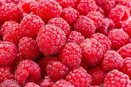sweet fresh raspberries closeupの写真素材