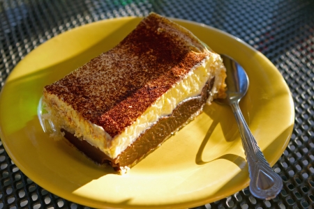Sponge cake with chocolate and vanilla cream sprinkled with cocoaの写真素材
