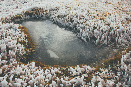 Close up of grass hoarfrost. Winter frost.