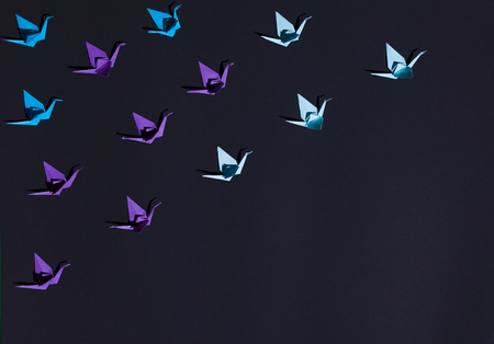 Origami birds in compositionの写真素材
