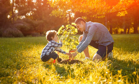 Father and son in planting tree under sunの写真素材