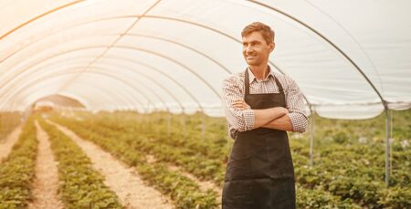 Confident farmer in large greenhouseの写真素材