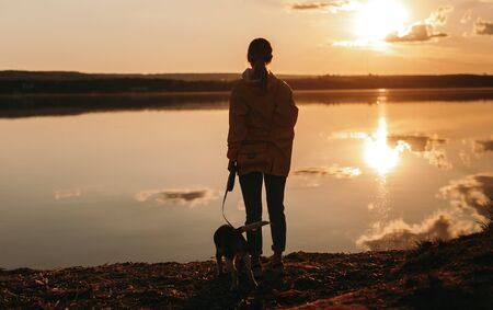 Woman and dog watching sunset on seasideの写真素材