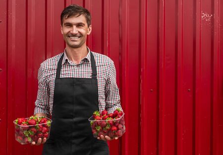 Pleasant plant breeder in black apron with bowls full of ripe strawberry on red backgroundの写真素材