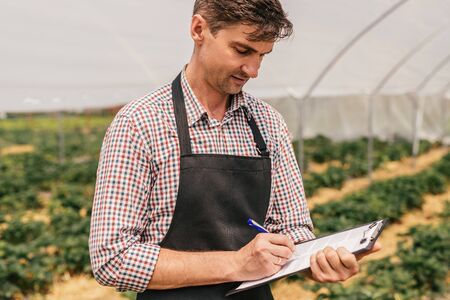 Farmer checking crops quality in greenhouseの写真素材