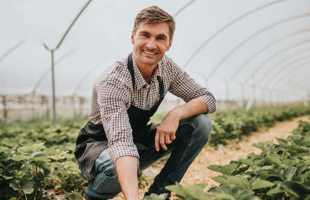 Adult farmer sitting in greenhouse and looking at cameraの写真素材
