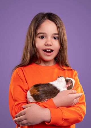 Amazed girl hugging guinea pigの写真素材