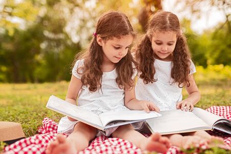 Cute twin girls reading books on green meadowの写真素材